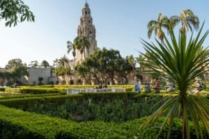 Solo Trip to San Diego: Best Places to Visit