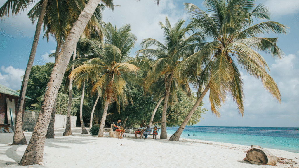 Ultimate Beach Essentials for Every Trip