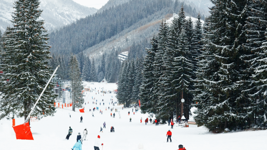 Best Ski Resorts to Visit at Christmas: Ski Holiday Destinations