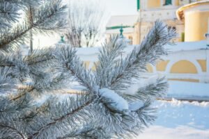 Snowy Christmas Destinations: Places to Visit for White Christmas