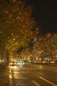 Aesthetic Christmas Travel Destinations