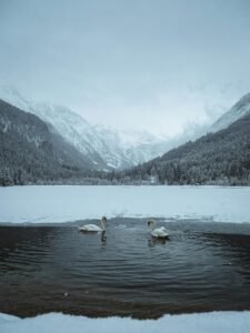 Christmas Travel Inspiration: Ultimate Guide to Your Destination