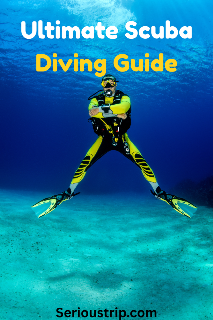 Scuba Diving Guide: Learn Everything about Scuba Diving