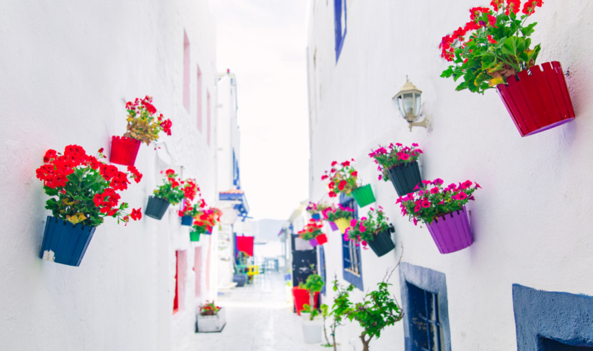 Best Travel Wall Decor: How to Create Wanderlust-Inspired Space