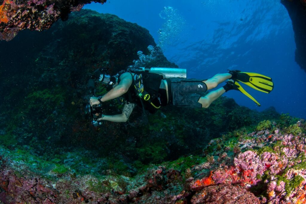 Best Places to Scuba Dive Around the World